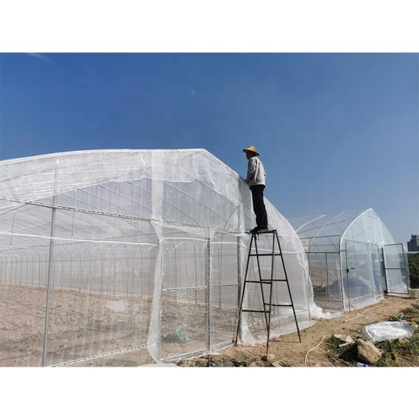 5m Height Mushroom Growing Greenhouse Plastic Mesh For Insect Resistance And Roof Ventilation