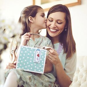 Warrens 11*5CM Large Velvet Hair Scrunchies Packed In Opp Bag