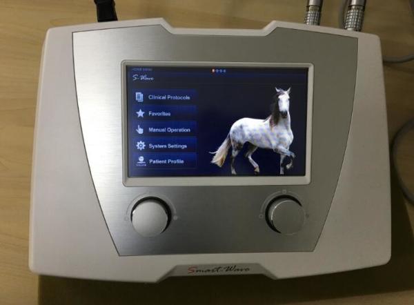 Physical Therapy Shock Machine For Chronic Back Pain / Tendon Injury