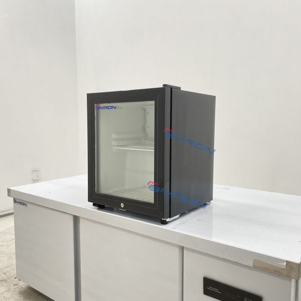 Customized Logo Mini Beverage Refrigerator Freestanding For Home & Office