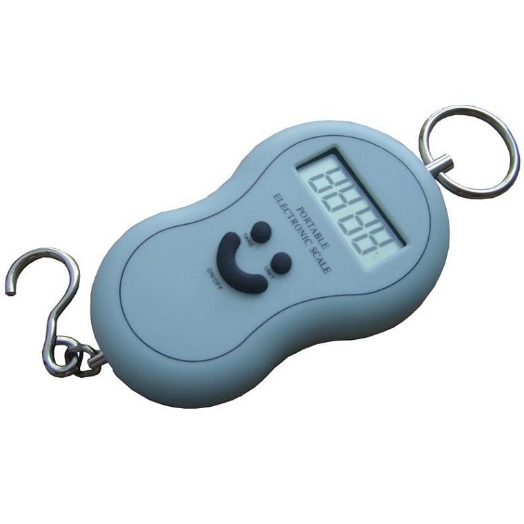 Portable electronic hanging scale