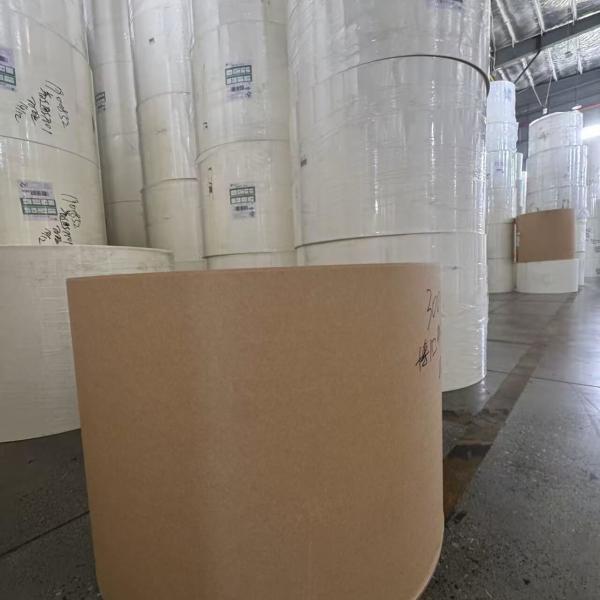 Brown Kraft Paper Roll For Making Food Container Salad Box