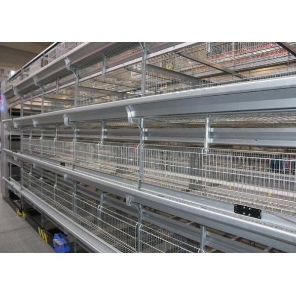 High Capacity Poultry Farm Cage System Broiler Chicken Cage  42 Kgs Weight
