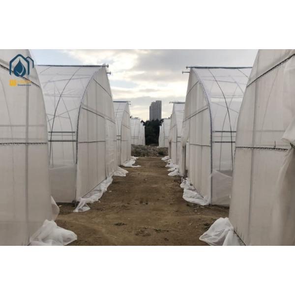 Galvanized Steel Tunnel Greenhouse Single Span PE Cover Greenhouse For Agriculture