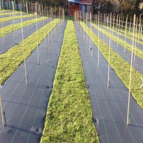 Pp Woven Ground Cover Membrane Anti Grass Weed Control Cloth