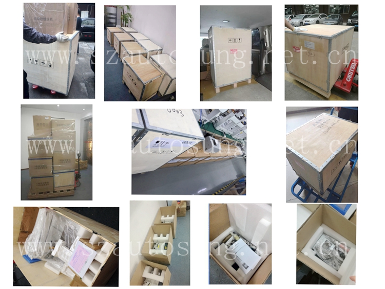 Portable Automatic Screwdriver Conveyor Screw Feeder Automatic M4 Auto Fastening Locking Machine  Screw Assembly