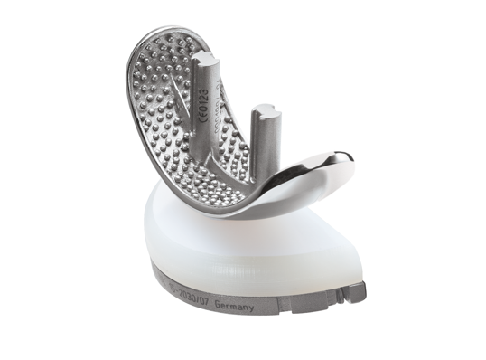 SLED Prosthesis