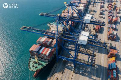Brazil Import Logistics Solution | FCL （20GP 40GP 40HQ）Ocean Freight with DDP