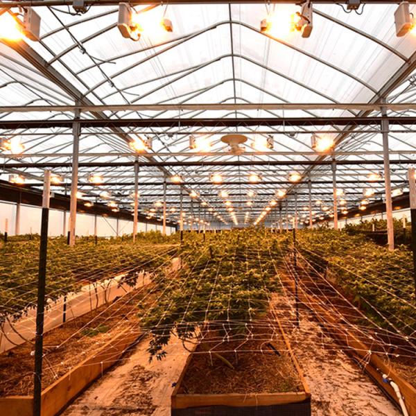 Material de cortina claro de Dep Automated Blackout Greenhouse Black para o vegetal
