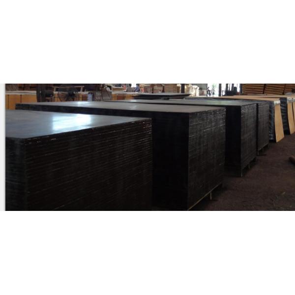 Finger Jointed Core Poplar 20mm Film Faced Plywood