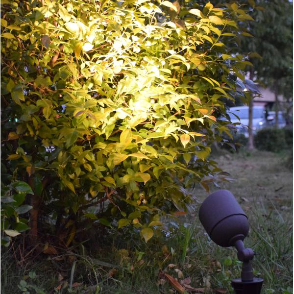 Garden Led Spike Light 6W Led Outdoor flood Light  for tree and wall 12V Led Landscape Light Outdoor brass light