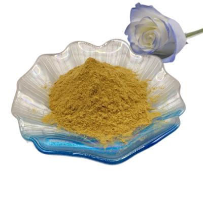 Désacétylation agricole soluble dans l'eau de la poudre 95% de chitosan de PH 5-7