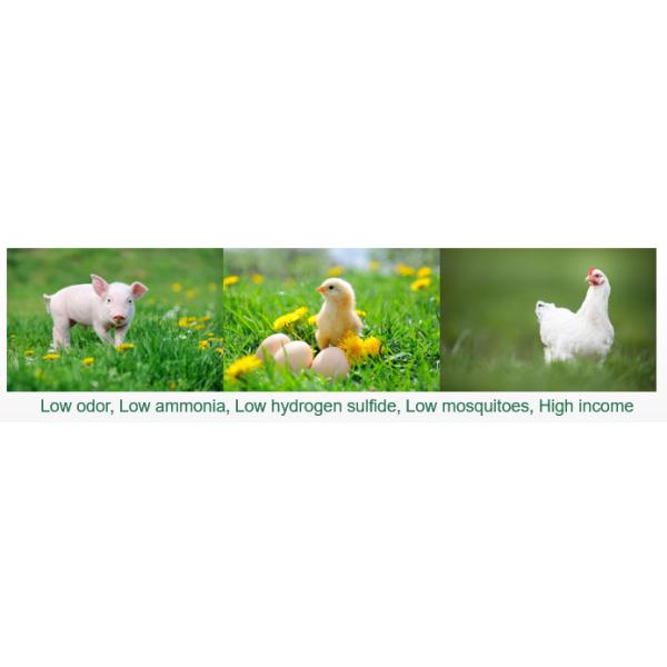 Habio Healtzyme Enzyme+Probiotic For Animal Health And Environmental Improvement