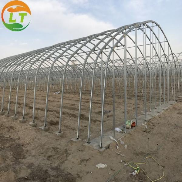 LiTai Greenhouse High Tunnel Greenhouse for Agricultural Plants Growing Instruction