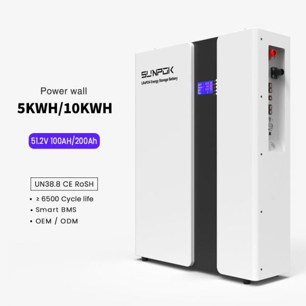 Lithium Iron Phosphate 51.2V 200Ah Lifepo4 Battery Wholesale 48V 10kWh Home Battery New Energy Power Wall