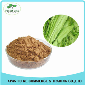 Manufacturer Supply Low Price Wild Lettuce Leaf Extract