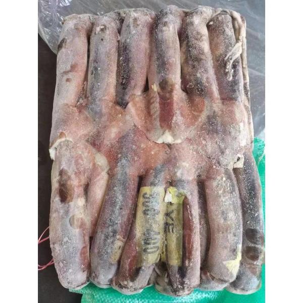 кальмар 300g 400g Healsea Аргентины BQF замороженный Illex