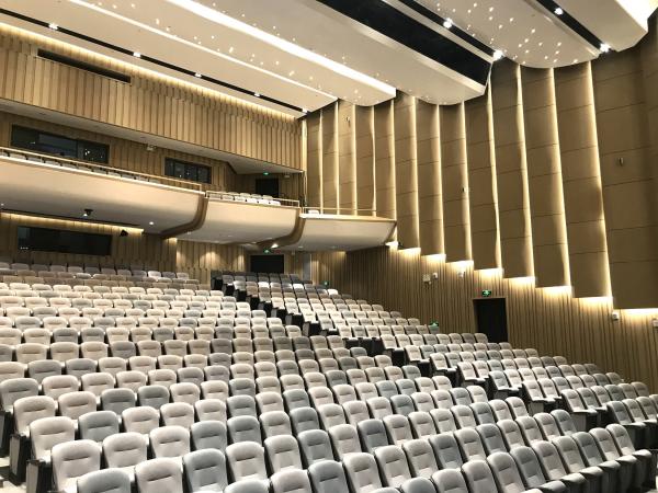 2/2/0.5mm Diffuser Auditorium Microperforated Wooden Sound Absorbing Wall Acoustic Panels
