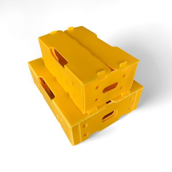 Reusable Corrugated Plastic Box for Fruit Packaging