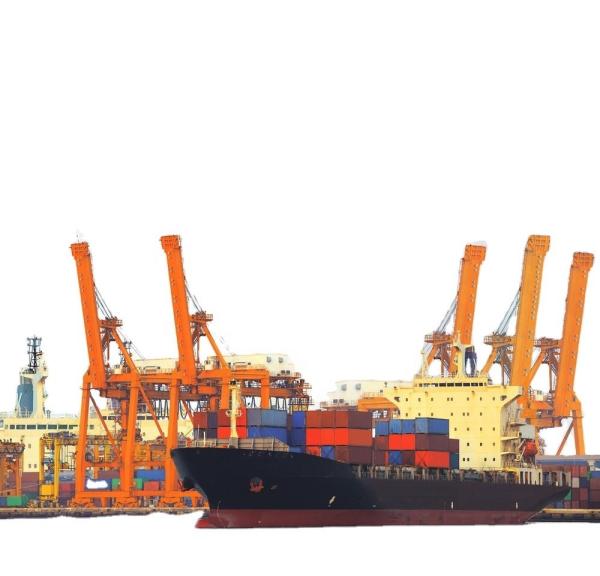 A Class Service Sea Freight Shipping Non Dangerous Goods With Global Carrier