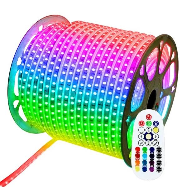 240V/230V/110V/220V RGB 5050 LED Strip Lights for Landscape with Remote IP65 Plastic Body