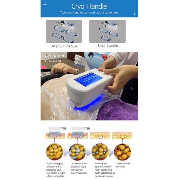 Maquina estetica profesional celulitis 360 productos de belleza equipo estetica para salon de belleza