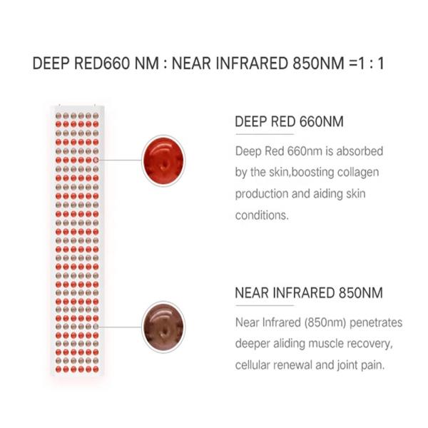 El acné marca con una cicatriz el panel ligero infrarrojo ligero rojo del dispositivo 660nm 1000w de la terapia del cuerpo completo