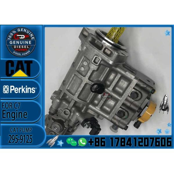 Fuel Pump 3240532 2641A405 2641A450R Fuel Injection Pump 324-0532 295-9125 For 315D C4.4 Engine