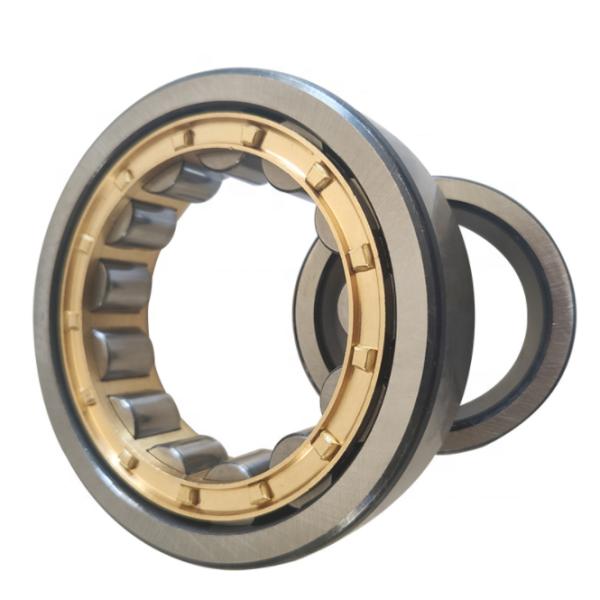 SL045018PP NNF 5018 ADA-2LSV 90*140*67mm Double Row Cylindrical Roller Bearing For Sheaves