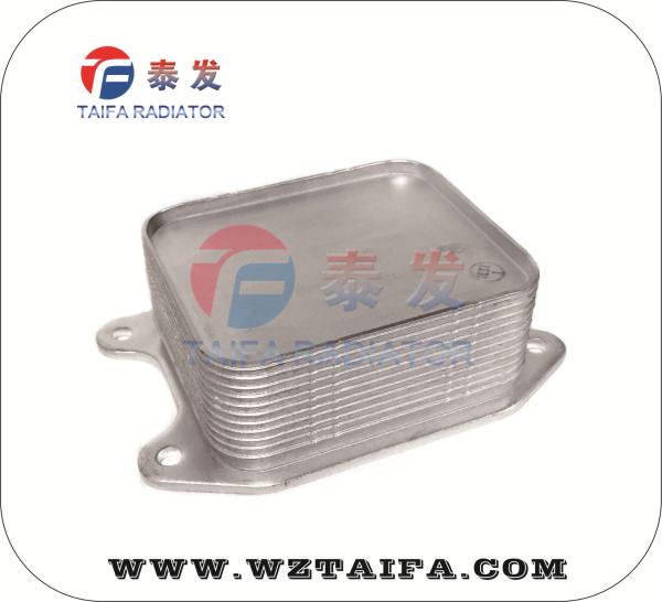 04E117021C oil cooler Volkswagen Jetta Hybrid Polo MK5 TSI Audi