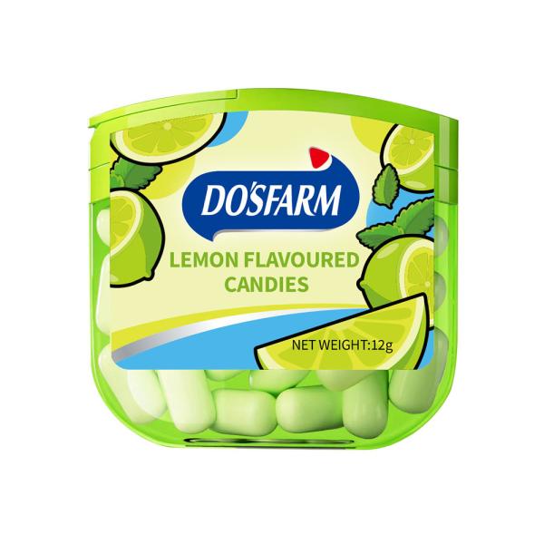 Sugar Free Vitamin C Mint Candy 12g OEM Tablet Candy