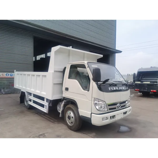 Shacman10t Sand, Gravel, Sludge, Fruit, and Tree Transportation Truck Factory Direct Supply
