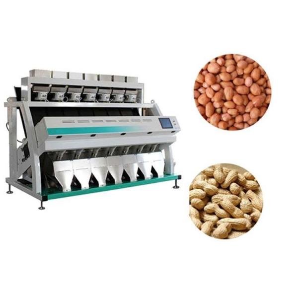 99 accuracy Nuts Color Sorter , 220v Peanut Sorting Machine CCD sensor