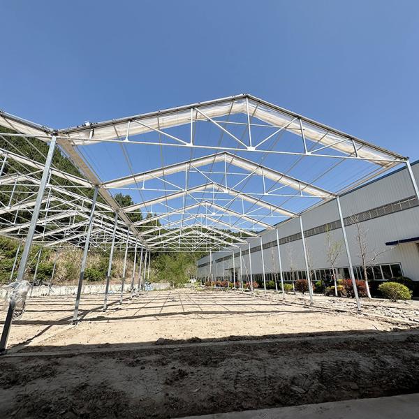 Горячая оцинкованная стальная конструкция Сдвижная теплица для выращивания томатов 20-200 м длина