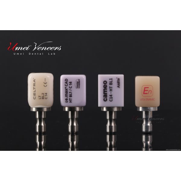 Good biocompatibility zirconia bridge