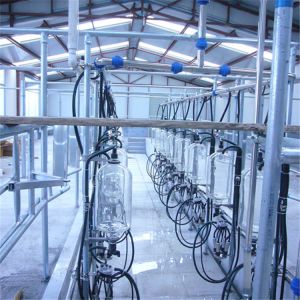 Mobile Milking Machine