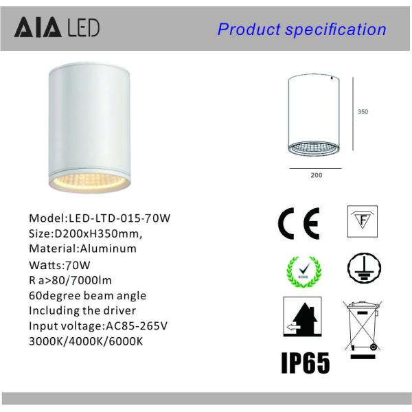 IP65 waterproof surface mounted DALI downlight 70W 0-10V dimmable exterior led down light &exterior downlight
