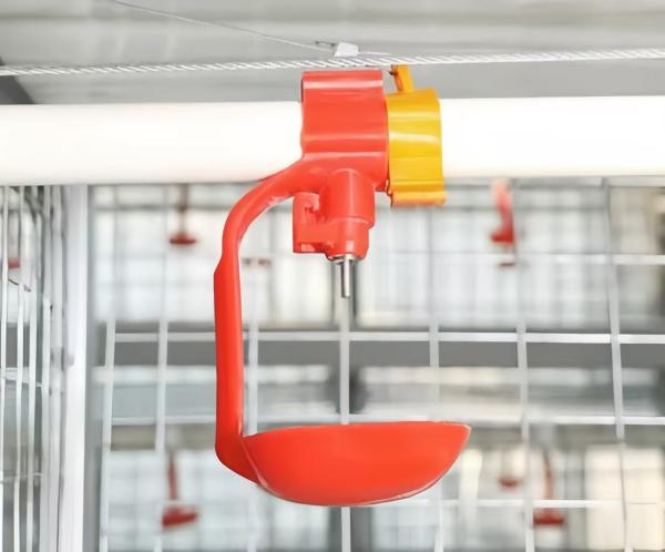 Équipement pour l'alimentation des poulets en plastique