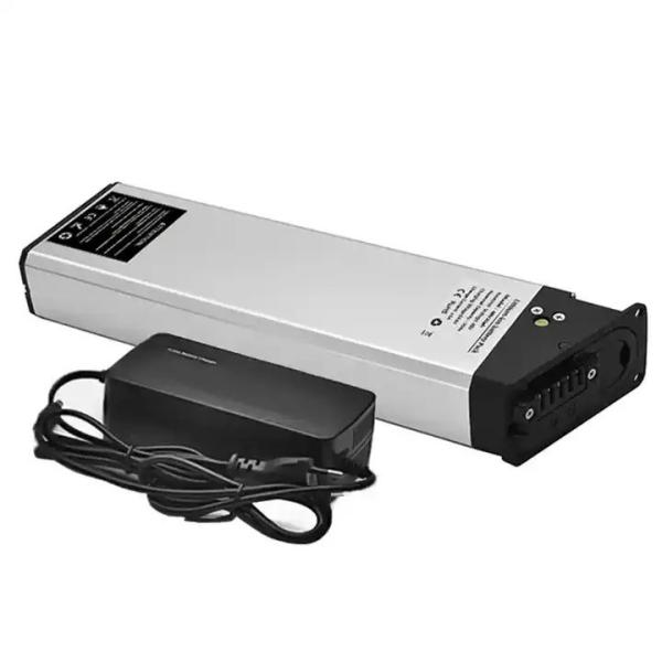 High Quality Silver Fish Battery 48V 20ah Lithium Ion E-Bike Battery For 1000W Electric Bike  Ebike Akku