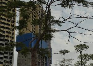 Elevador da grua da construção da proteção 450m da porta da segurança