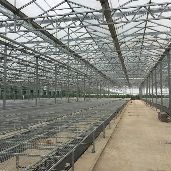 Green Agricultural Glass Greenhouse with 5mm Covering Span Width 9.6m 10.8m 12m