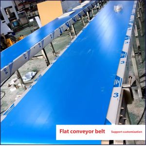 Custom Commercial Conveyor Belts, Canteen & Hotel Tableware Conveyor Lines, Non-standard Conveyors