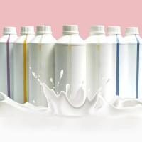 Direct To Film Tinta DTF Tinta de impressora têxtil Tinta para impressão de transferência de camisa Epson White A3 L1800