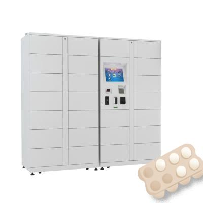 Winnsen refrigerou a prova esperta do vândalo dos ovos do alimento do cacifo