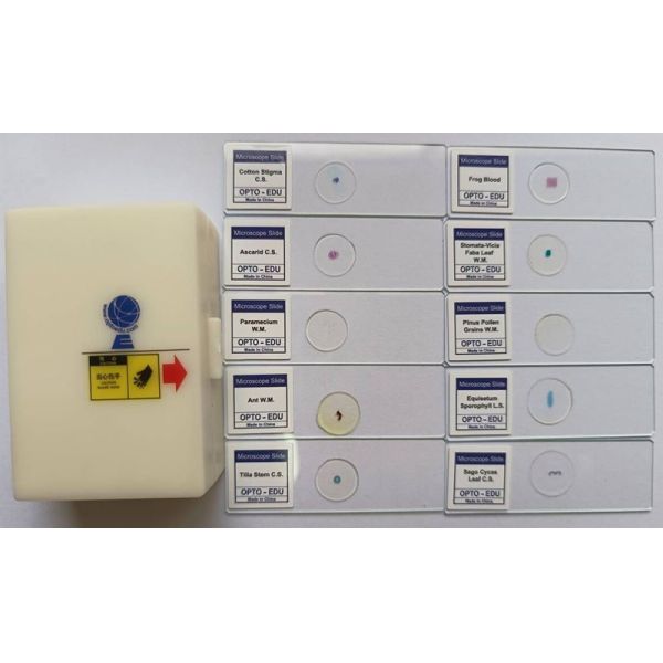 OPTO-EDU A33.5130 7
