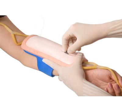 Paint Vein Injection Pad Nursing Model For Hospital Training