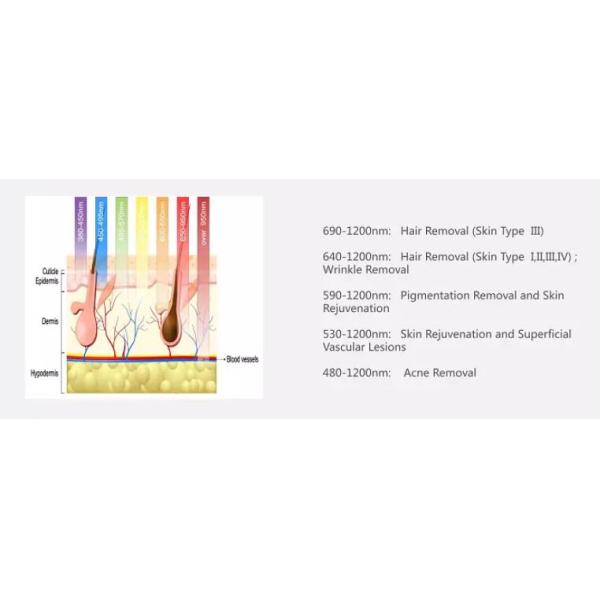 Vertical OPT SHR IPL Hair Removal Machine / Skin Rejuvenation Equipment