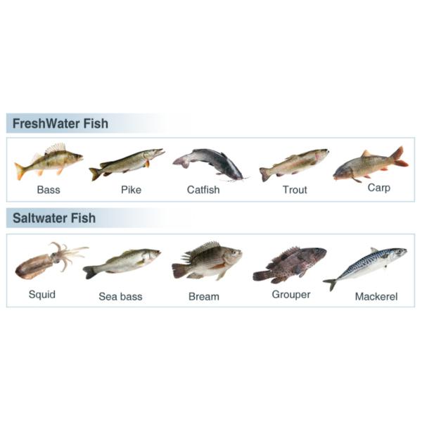 Ocean Beach Fishing Tackle Set 1.82m 2 Sections ML Hard Carbon Spinning Fishing Full Set