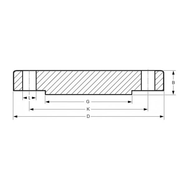 Сверхдвойные стальные фланцы F55/S32760/W.Nr.1.4501 Кованый слепой фланц