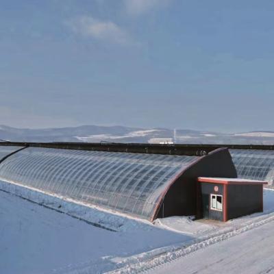 Tejo arqueado Aquicultura Filme vegetal Luz solar Estufas de morango dos EUA